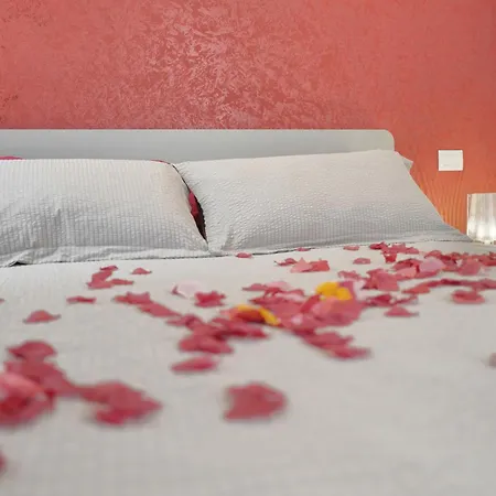 Petra's Lovely House